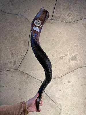 Shofar de Antílope Direto de Israel | Modelo A3