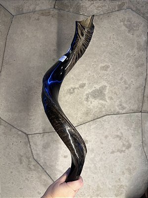 Shofar de Antilope Direto de Israel | Modelo A5