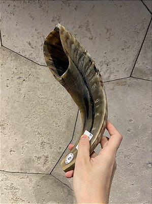 Shofar de Carneiro - Direto de Israel | Modelo B2