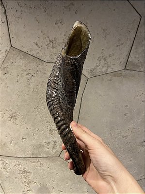 Shofar de Carneiro - Direto de Israel | Modelo B6