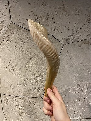 Shofar de Carneiro - Direto de Israel | Modelo B10