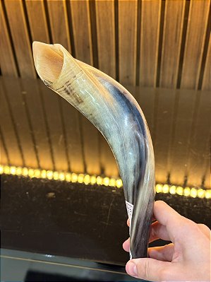 Shofar de Carneiro - Direto de Israel | Modelo D1 29cm