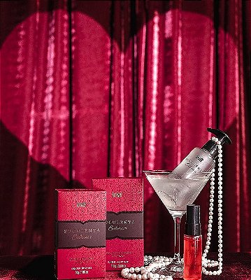 Pré-Venda KIT - Suculenta Calianer By Intt