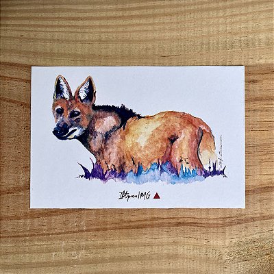 Cartão Postal - Lobo-Guará Ibitipoca
