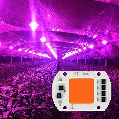 Chip LED COB 50W Full Spectrum Cultivo Grow Planta Aquário 220V