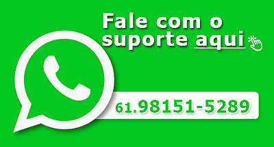 Fale com o suporte