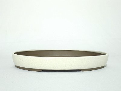 Vaso Bonsai Oval Bege Literato 28,5x19x4cm
