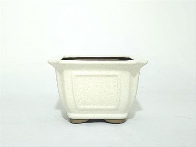 Vaso Bonsai Semi Cascata Bege Literato 16x16x10,5cm