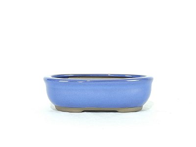 Vaso Bonsai Oval Azul Literato 17,3x11,8x4,8cm