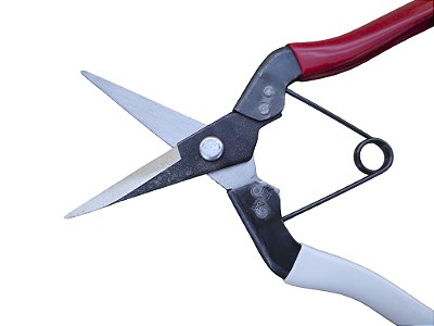 Tesoura Okatsune 304/190mm Poda - Raleio - Flores - Ervas - Bonsai