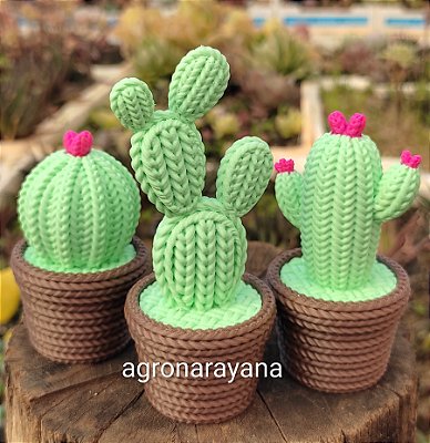 Enfeite de terrários, vasos e arranjos - kit 3 peças