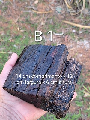 (B) Tronco em madeira 100% natural para aquários/terrários/fixação de plantas