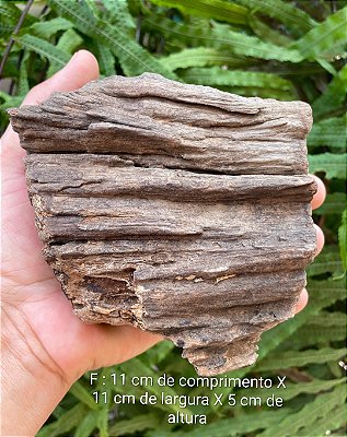 (F) Tronco de madeira 100 %para aquários/terrários/fixação de plantas/ornamentação/vasos de bonsai
