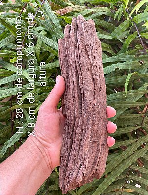 (H) Tronco de madeira 100% natural para aquários/terrários/fixação de plantas/vasos de bonsai