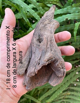 (I) Tronco de madeira 100% natural para aquários/terrários/fixação de plantas/vasos de bonsai