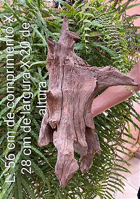 (L) Tronco em madeira 100% natural para aquários/terrários/fixação de plantas/vasos de bonsai/decoração