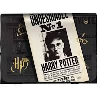 Pasta Sanfonada A4 Harry Potter- Dac