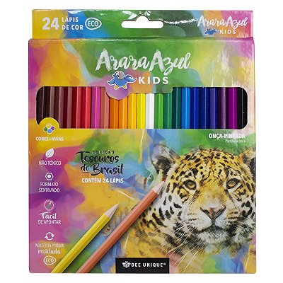 Lapis De Cor Eco Sextavado 24 Cores - Bee