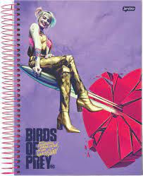 Caderno Esp Univ Cd 15m 240f Aves Rapina - Jandaia
