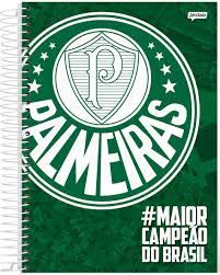 Caderno Esp Univ Cd 15m 300f Palmeiras - Jandaia