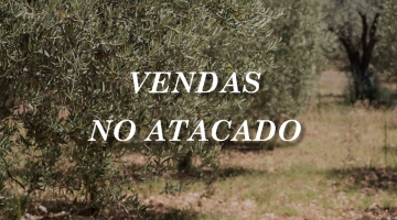 Vendas no Atacado
