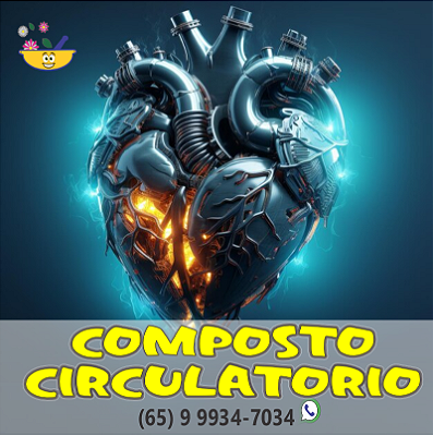 Composto Circulatório 60 Cápsulas