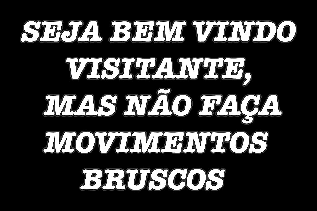 Capacho Frase - Não Faça Movimentos Bruscos 