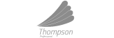 THOMPSON PROFESSIONAL