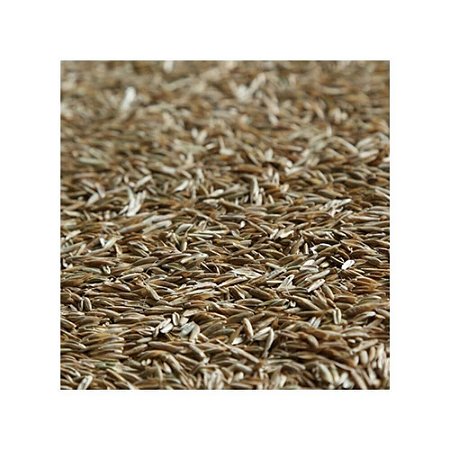 Semente Azevém Certificado Ponteio 25Kg - Germinare - Agrocampo