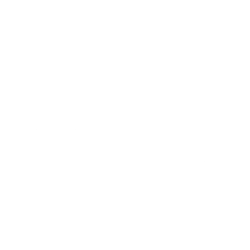 asika　4口 高品質]4枚型ノーマルリードバルブASSYライブディオJ/ライブ