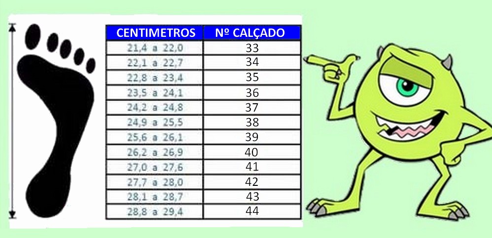 calçado 38 em cm