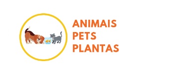 animais, pets e plantas