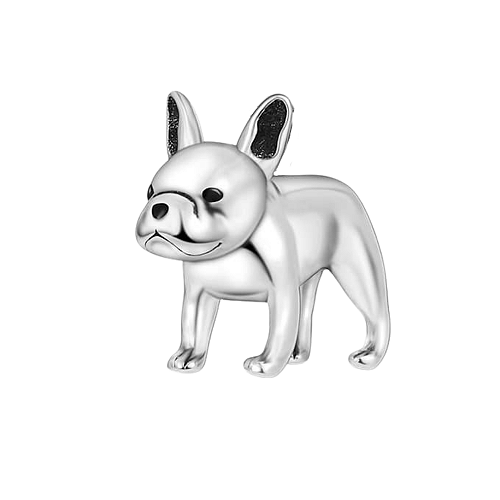 Charm - Buldogue francês Ouro - Cherry Dreams