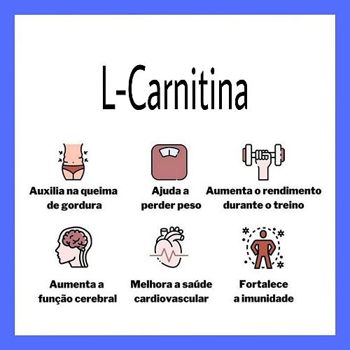 l carnitina injetável intramuscular Desempenho Físico