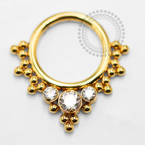 TN1537 Segmento Frontal 8mm Indiano CZ Titânio PVD Gold