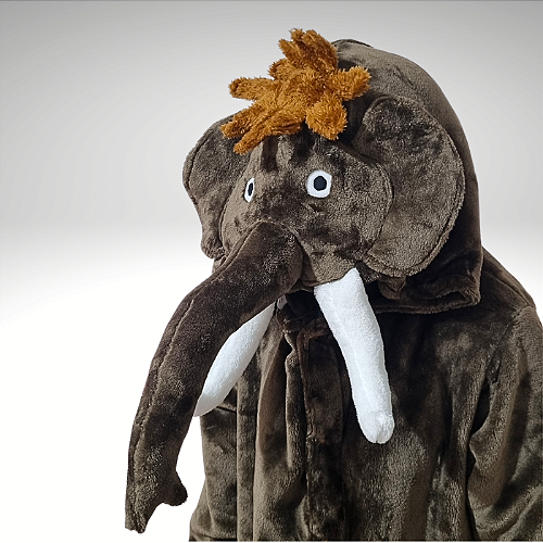 kigurumi フルセット Macacão Kigurumi Sonic - Ri Happy