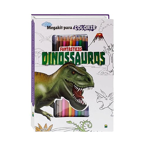 Livro - Meus 111 Desenhos para Colorir: Dinossauros - Livros de