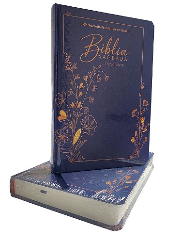 Biblia Sagrada Mateus 6 - Portal Barrancas