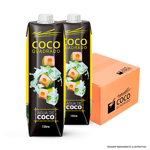 Água de Coco - Coco Quadrado 200ml Tradicional (Caixa com 27 unidades) -  FASTHE
