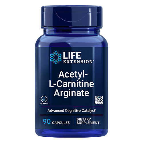 acetil l-carnitina ou l-carnitina Acetyl 90 Cpsulas Acetil Carnitina 500mg cido Alfa