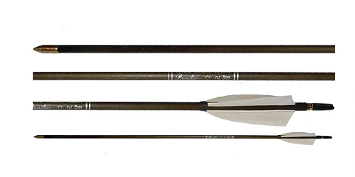 Flecha Silver - Arcos Velox