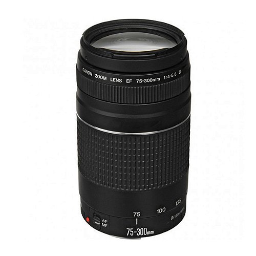 Objetiva Canon 75-300mm EF F/4-5.6 Ii USM Ultrasonic Semi Novo