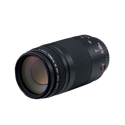 ❤️送料無料❤️Canon EF-S 55-250mm 1:4-5.6 Lente Canon EF-S 55-250mm F/4-5.6 IS II - eMania Foto e Video