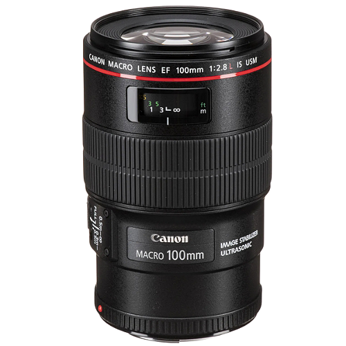 Objetiva Canon 75-300mm EF F/4-5.6 Ii USM Ultrasonic Semi Objetiva Canon 75-300mm EF F/4-5.6 Ii USM Ultrasonic Semi