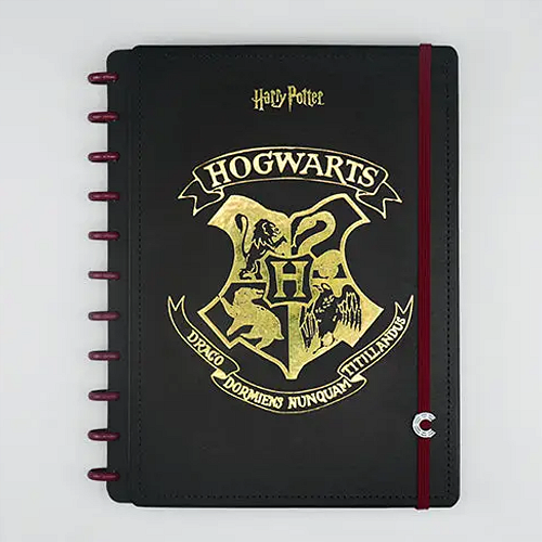 Cordão de Crachá + Credencial Harry Potter Corvinal