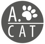 A.Cat