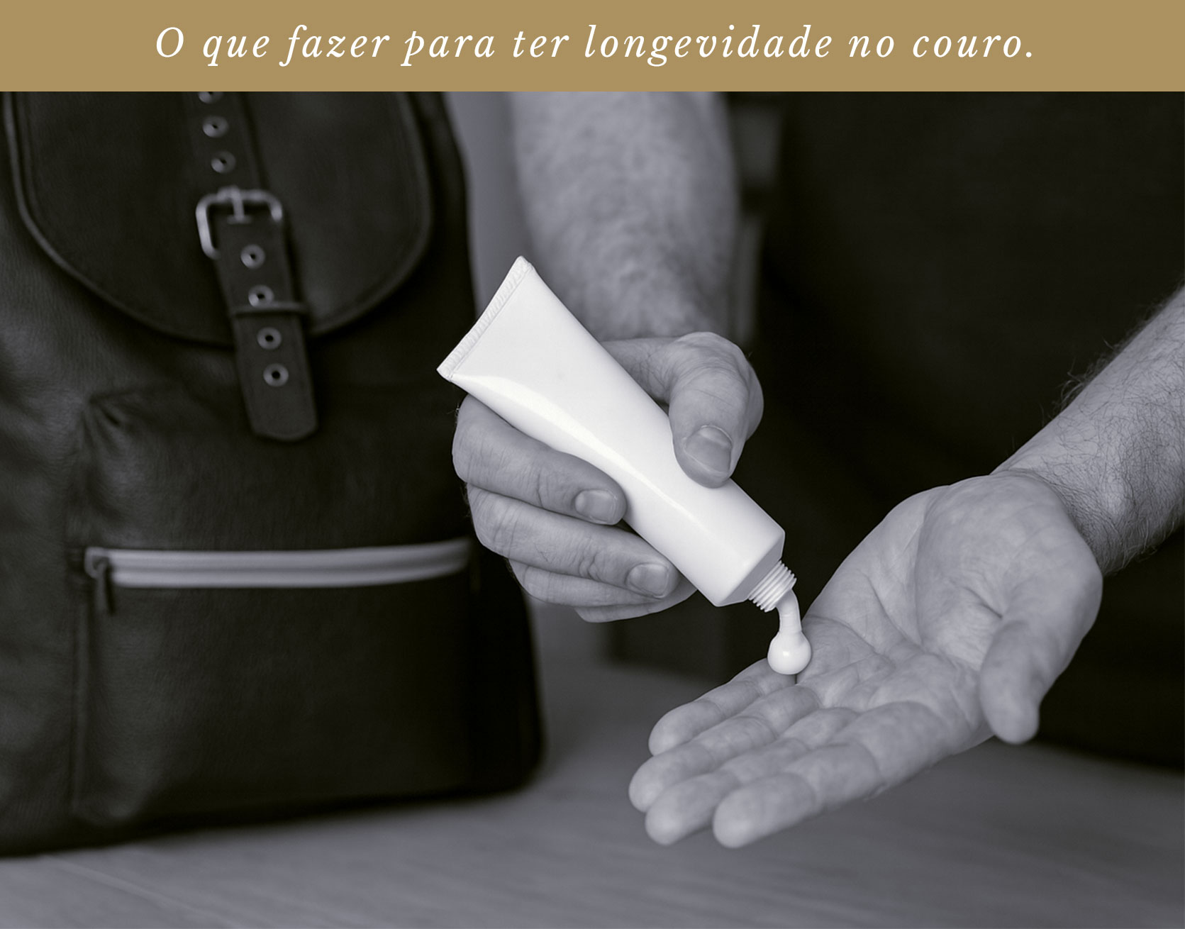 Cuidados com o couro - Hylberman (mobile)