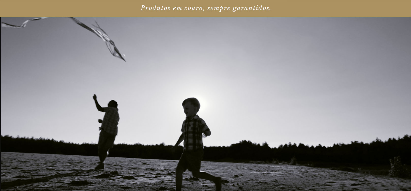 Garantia Vitalícia Hylberman - desktop