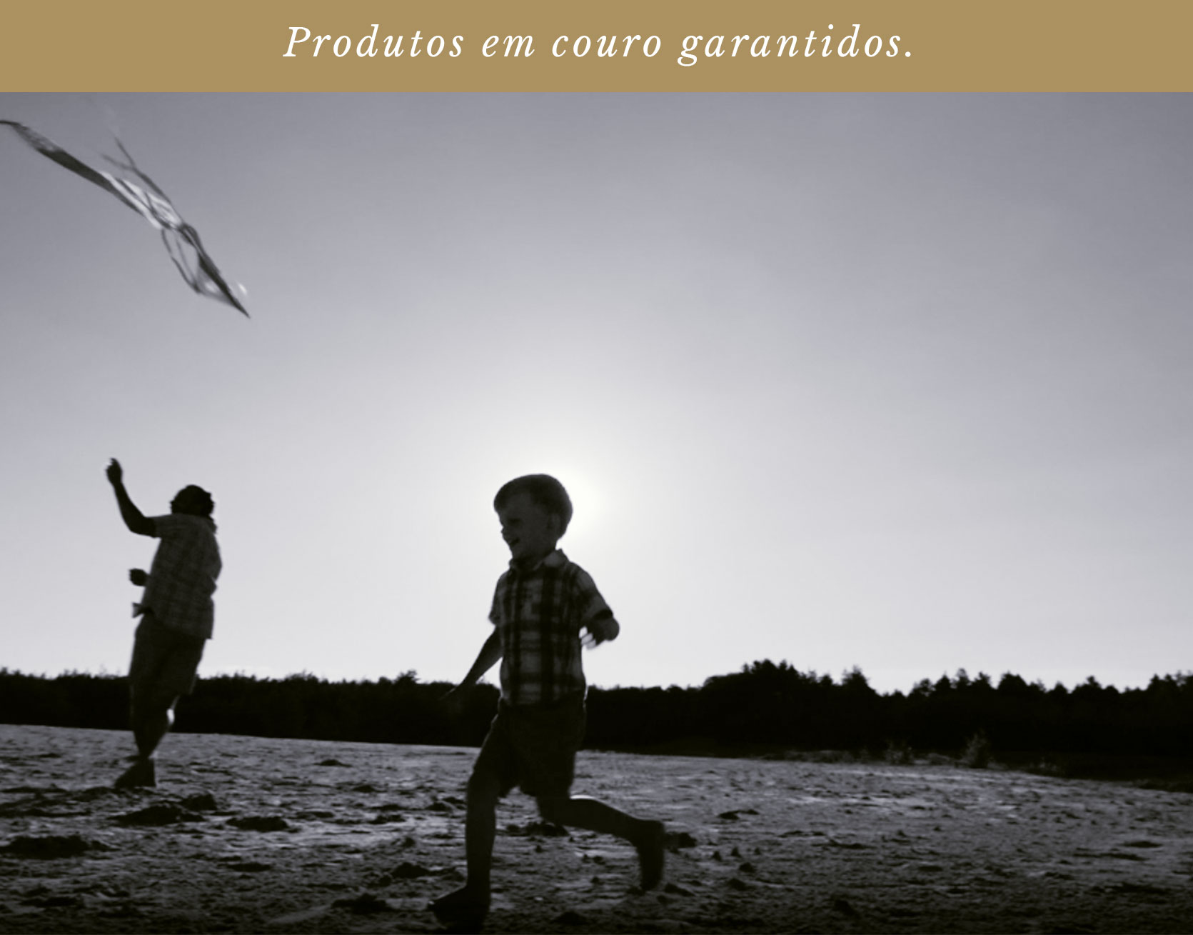 Garantia Vitalícia Hylberman - mobile