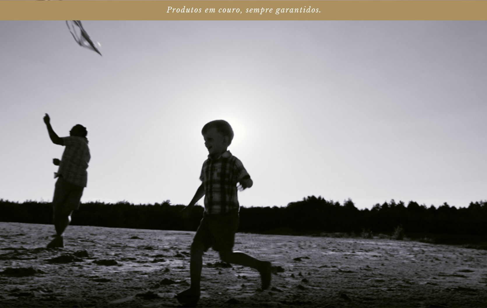 Garantia Vitalícia Hylberman